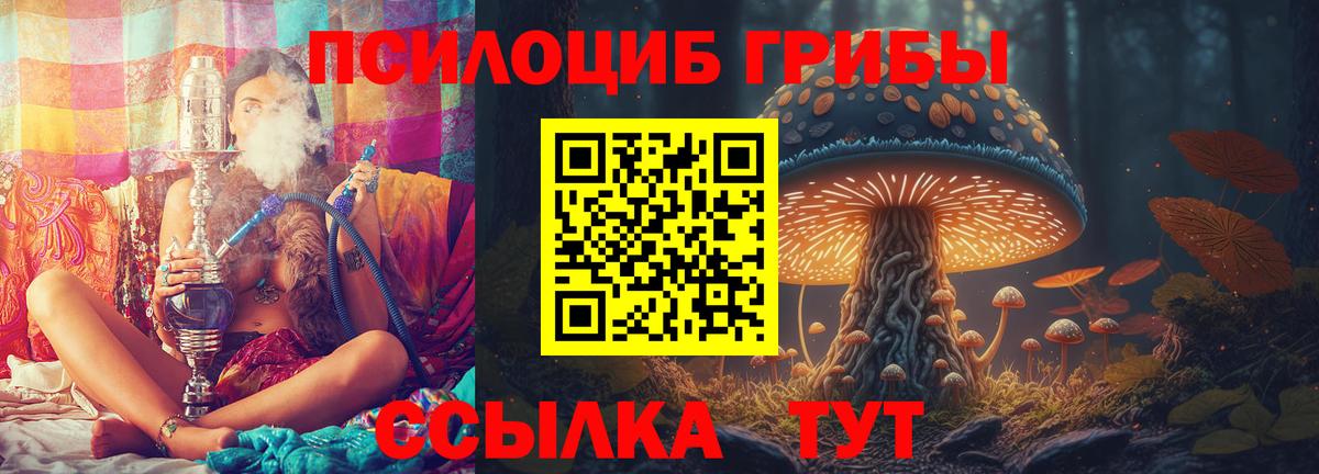 Галлюциногенные грибы мухоморы Кингисепп