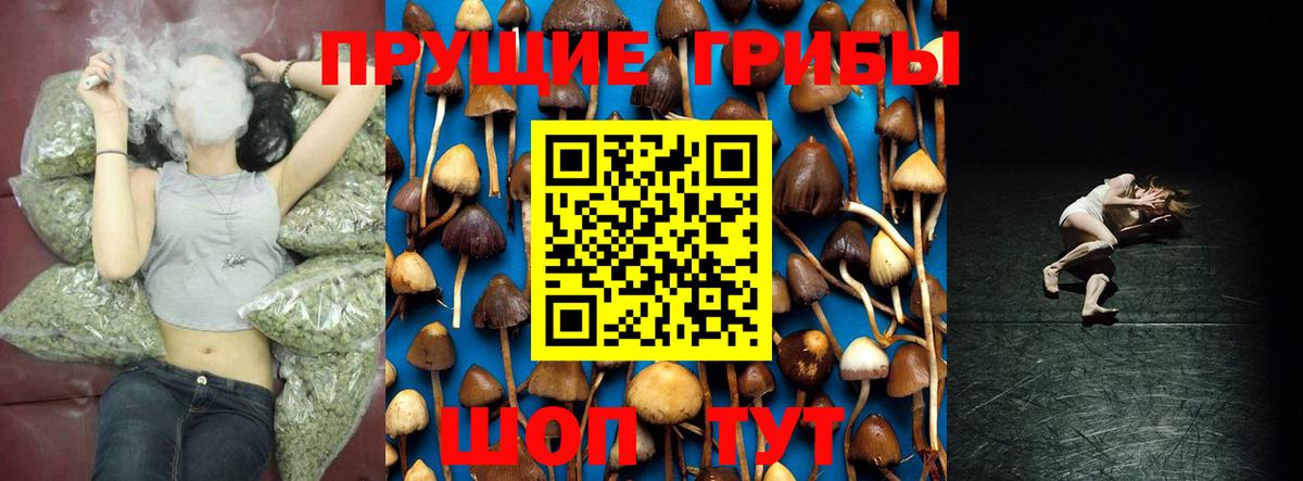 Галлюциногенные грибы Cubensis  Псилоцибиновые грибы Psilocybe  Вход с VPN  Кингисепп 